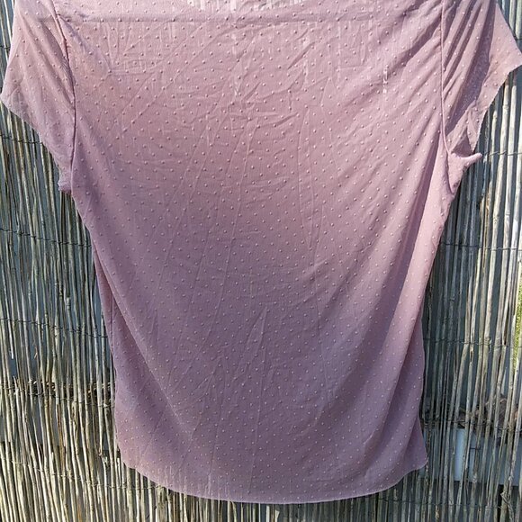 Garage Sexy Sheer See Through Short Sleeve Top Blouse Taupe/Nude - Petite Small - Picture 12 of 15